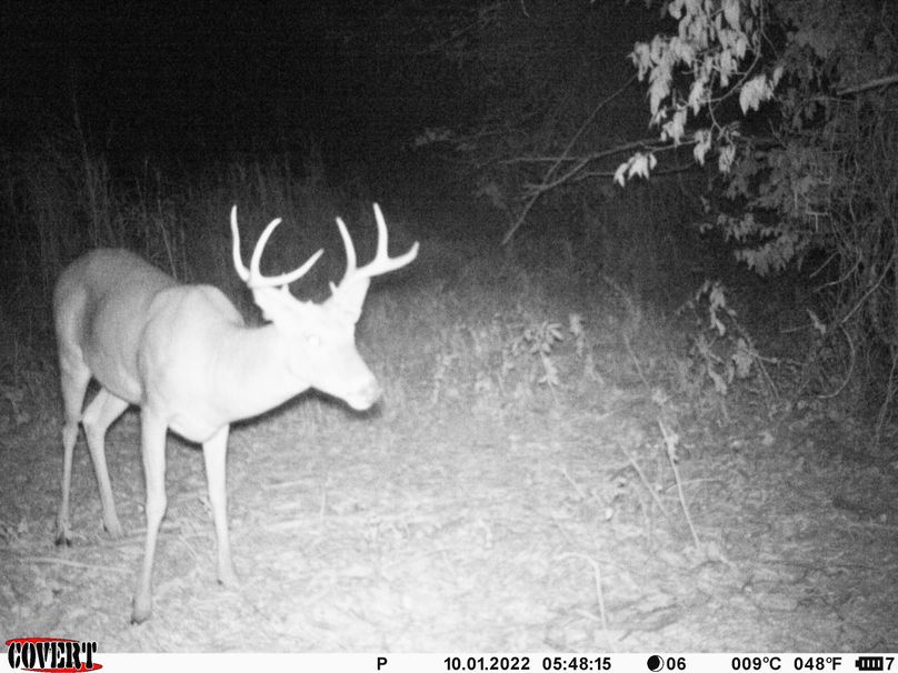 okmulgee 30 ausbrooks trail cam 19