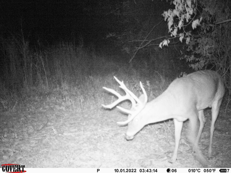 okmulgee 30 ausbrooks trail cam 12