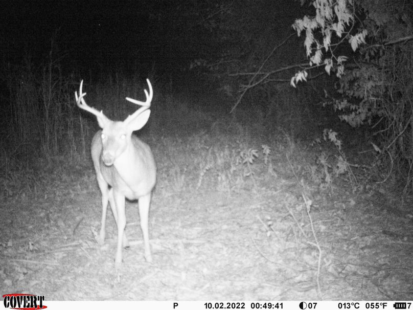 okmulgee 30 ausbrooks trail cam 27