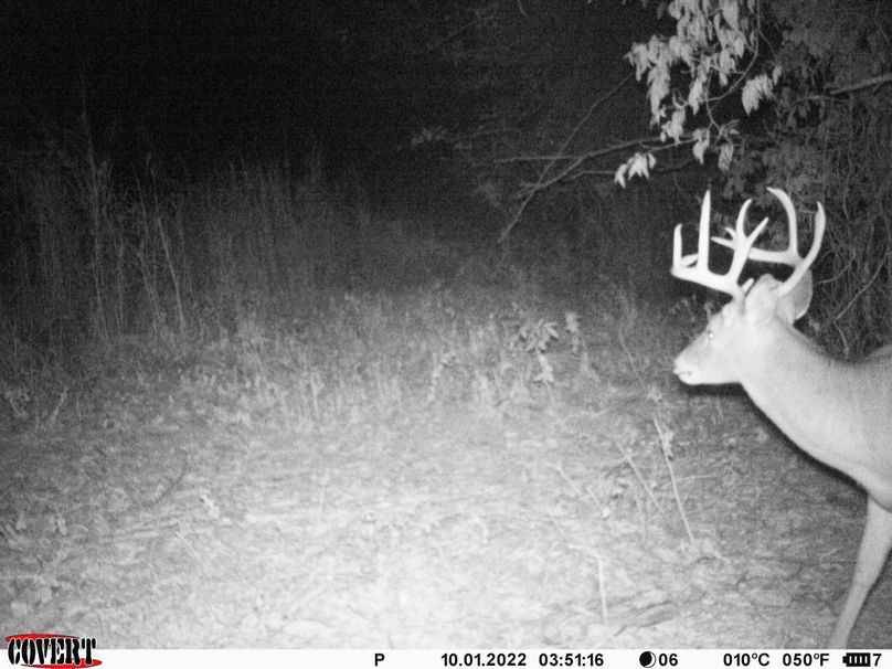 okmulgee 30 ausbrooks trail cam 14