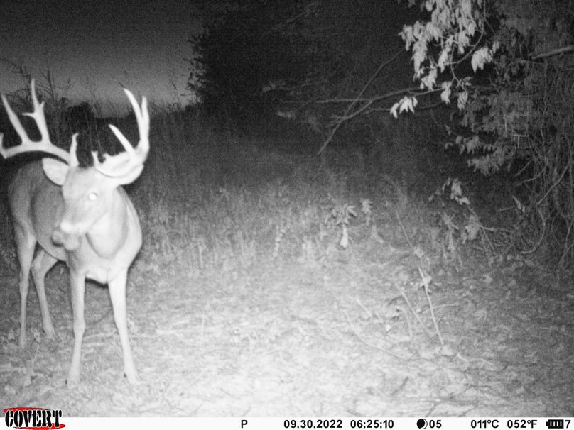 okmulgee 30 ausbrooks trail cam 4