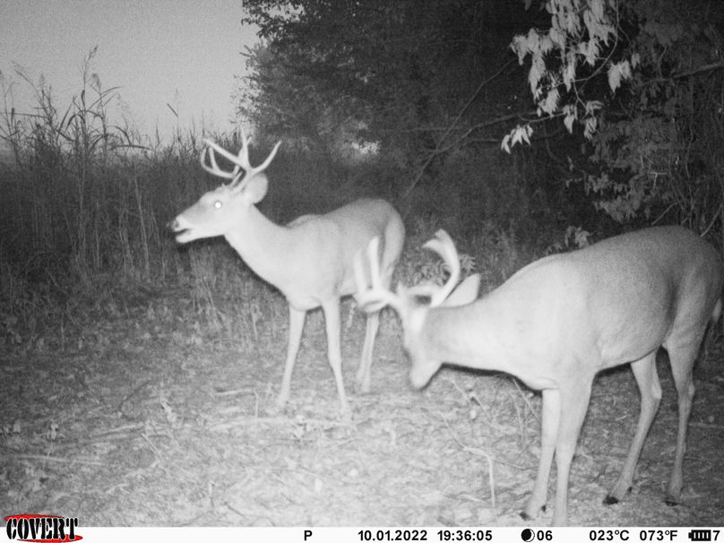 okmulgee 30 ausbrooks trail cam 23