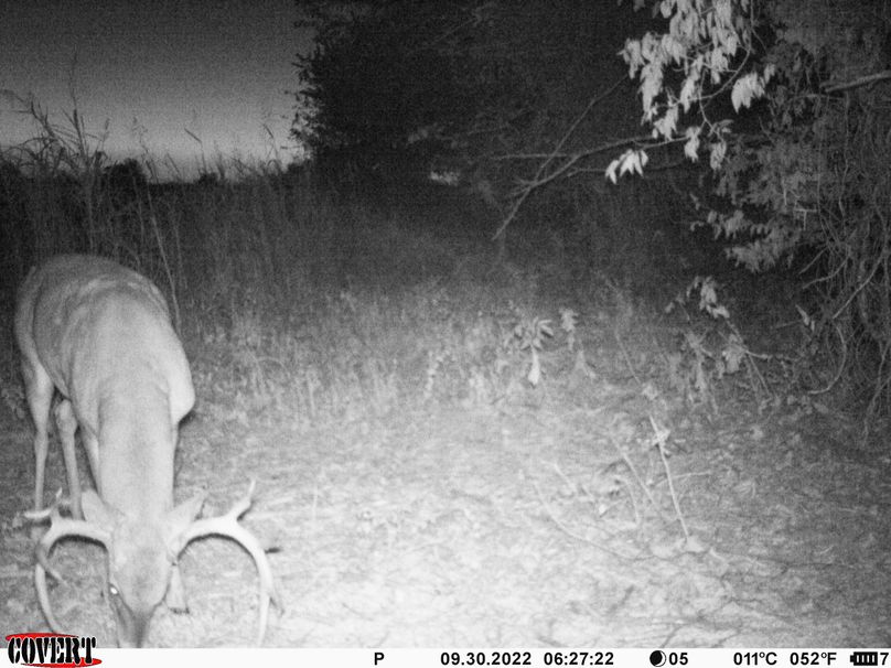 okmulgee 30 ausbrooks trail cam 7