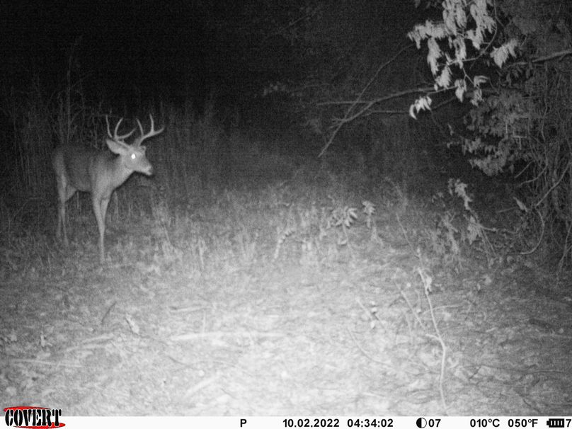 okmulgee 30 ausbrooks trail cam 28