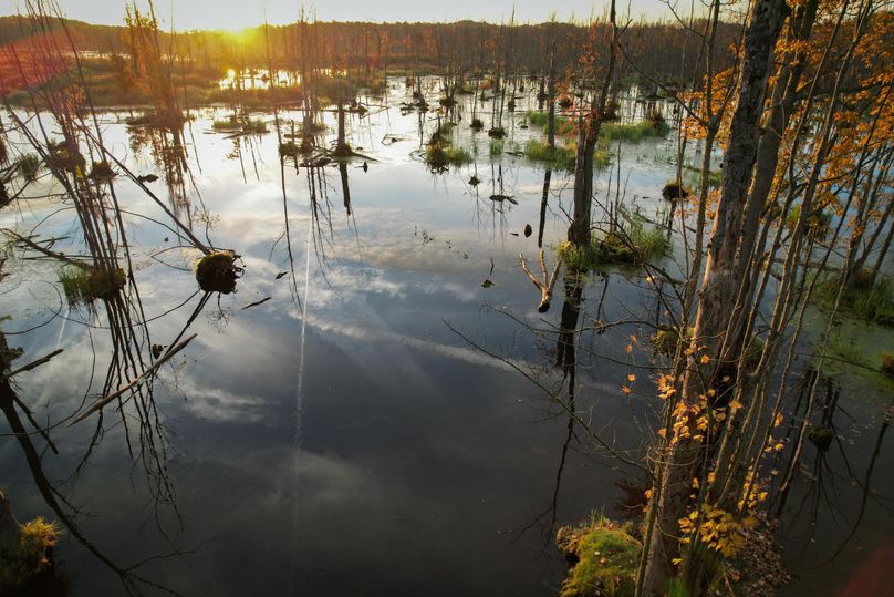 Ontario_NY_41.2_King_Photos_51