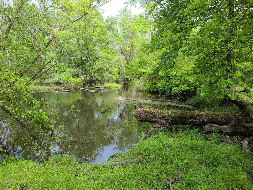 22ac_Route313_CarolineCty_006