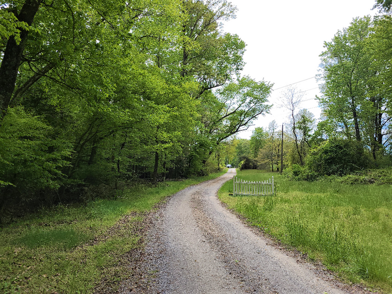 22ac_Route313_CarolineCty_004