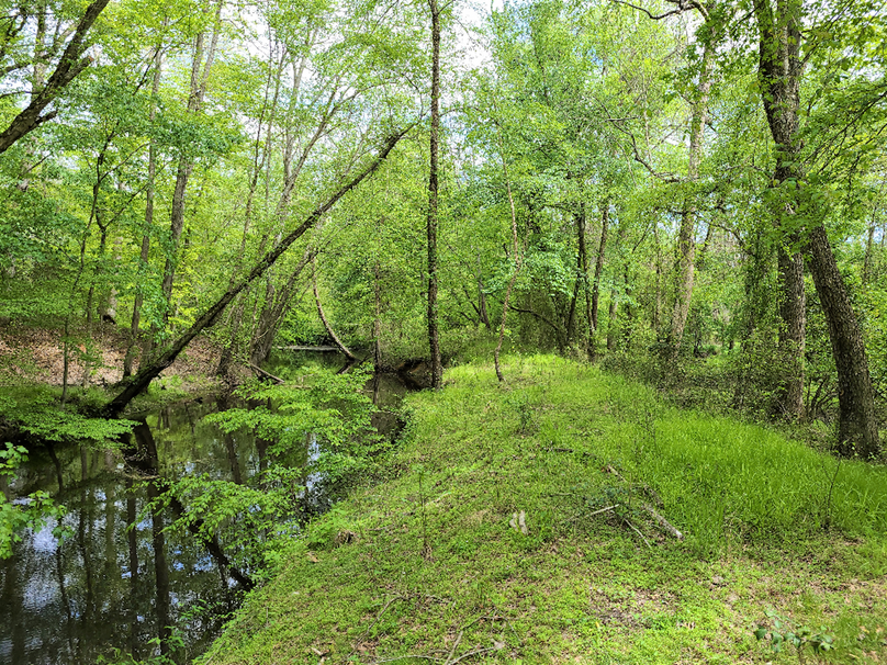 22ac_Route313_CarolineCty_008