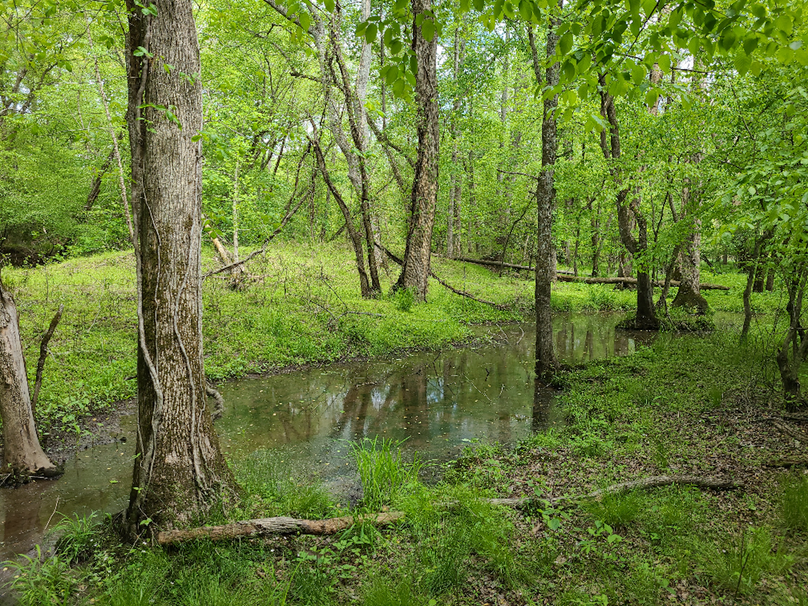 22ac_Route313_CarolineCty_005