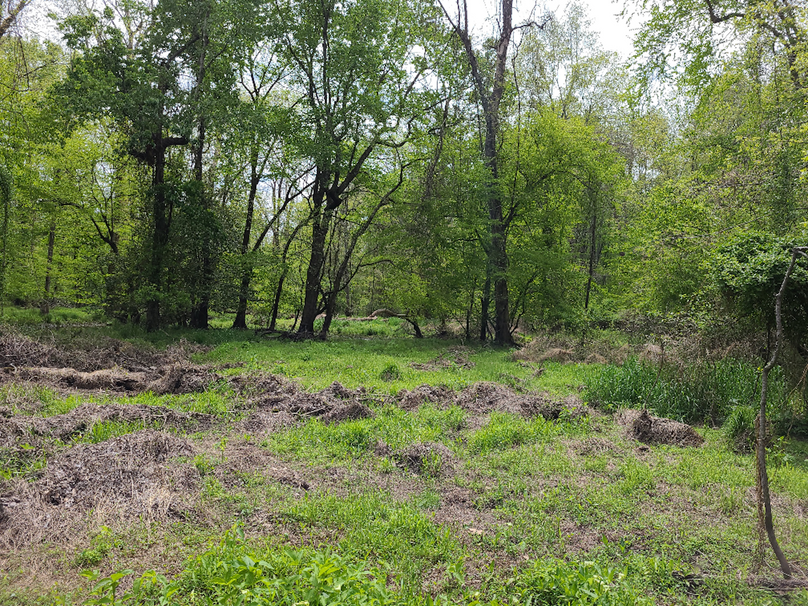 22ac_Route313_CarolineCty_011