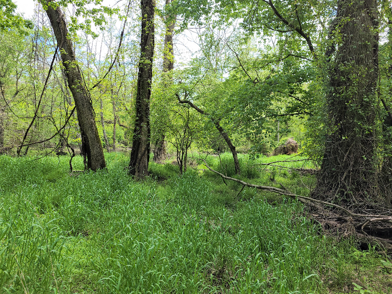 22ac_Route313_CarolineCty_014