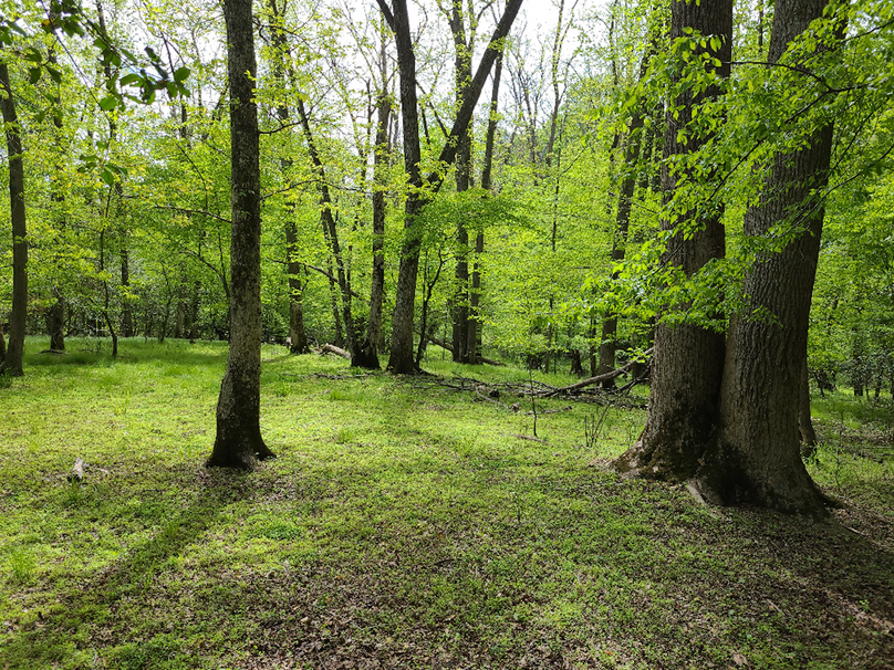 22ac_Route313_CarolineCty_001_MAIN IMAGE