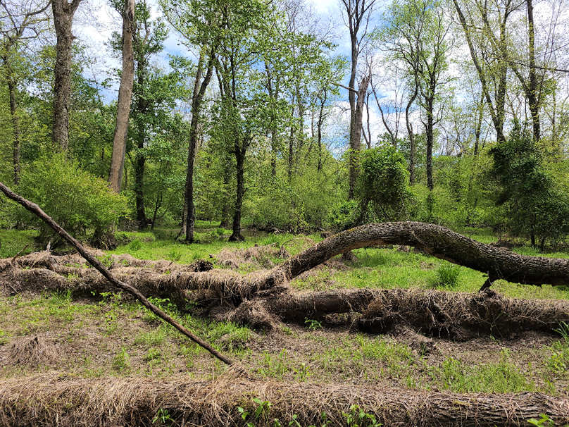 22ac_Route313_CarolineCty_007