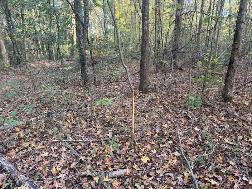 Jeff 11720251111_0191