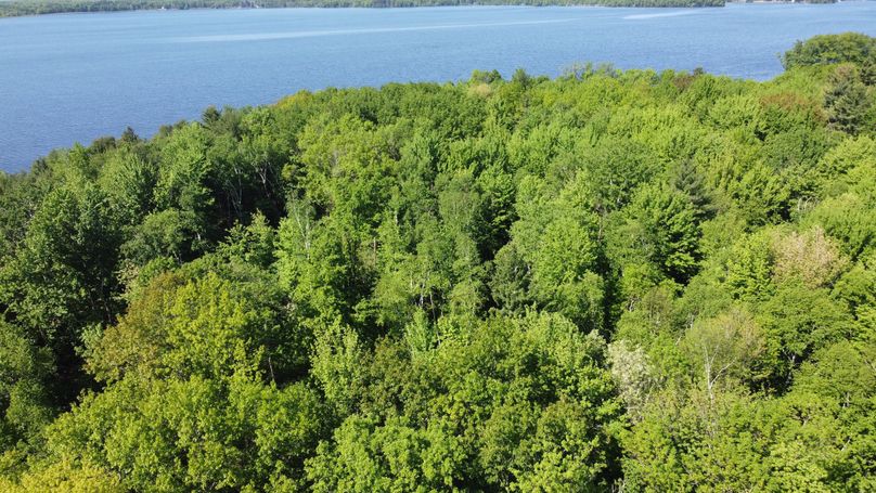 Photo_6619921_DJI_785_jpg_4182780_0_20226294950_photo_original