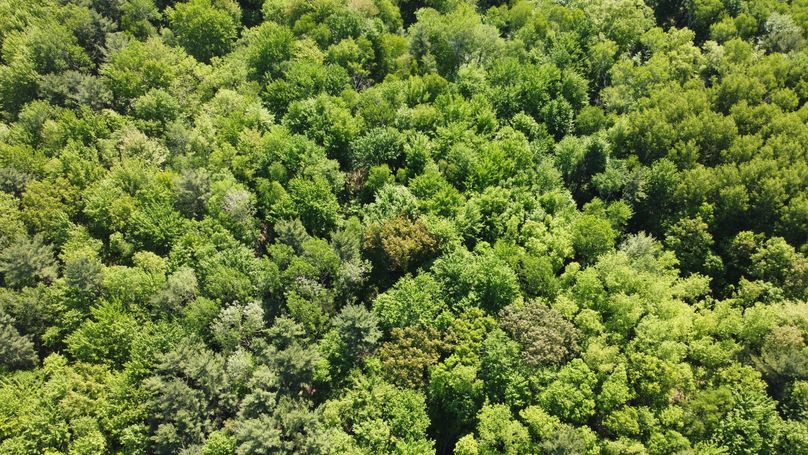 Photo_6619931_DJI_795_jpg_4152062_0_2022629540_photo_original