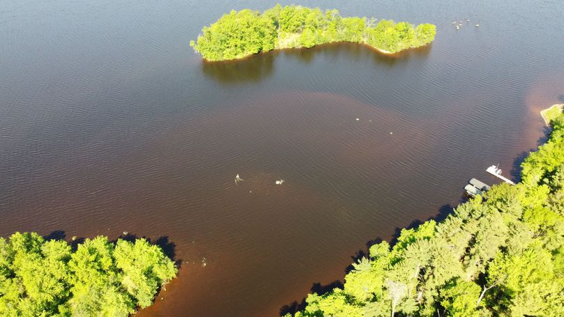 Photo_6619929_DJI_793_jpg_3991410_0_20226295348_photo_original