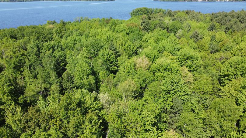 Photo_6619920_DJI_784_jpg_4096838_0_20226294948_photo_original