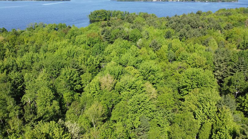 Photo_6619922_DJI_786_jpg_4155072_0_2022629500_photo_original