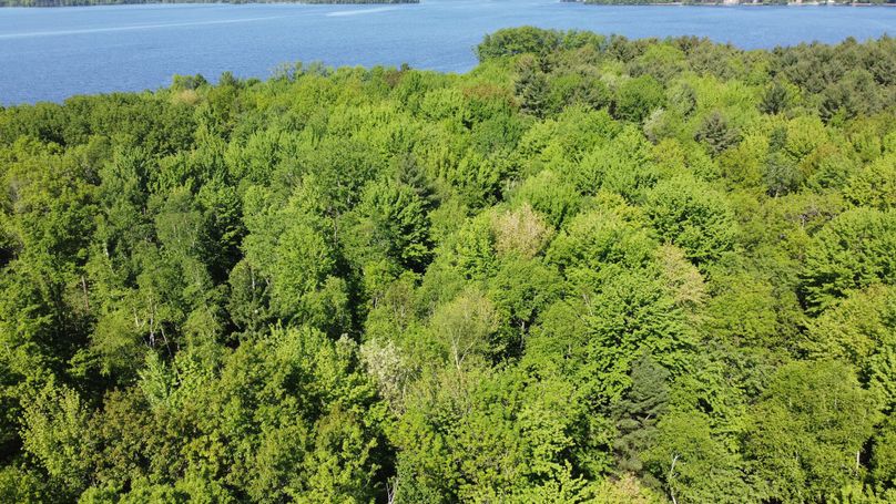 Photo_6619919_DJI_783_jpg_4090960_0_20226294946_photo_original