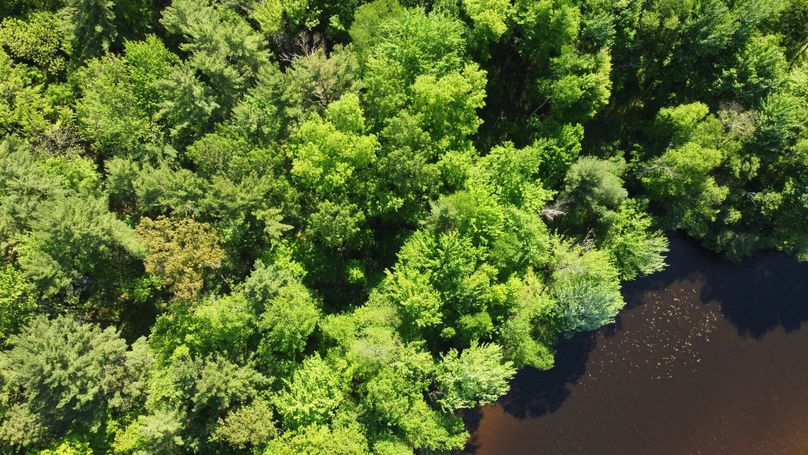 Photo_6619932_DJI_796_jpg_4095128_0_20226295428_photo_original