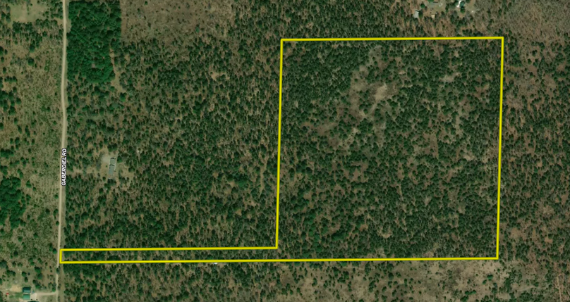 Screen Shot 2022-06-10 at 9.33.18 AM