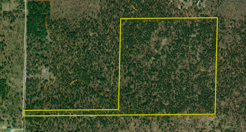 Screen Shot 2022-06-10 at 9.33.29 AM