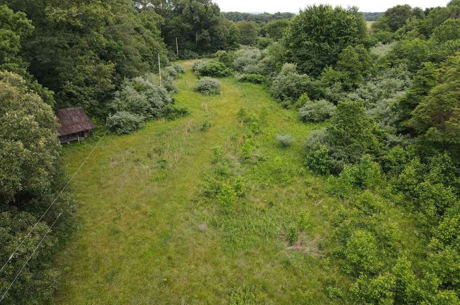 DJI_0064