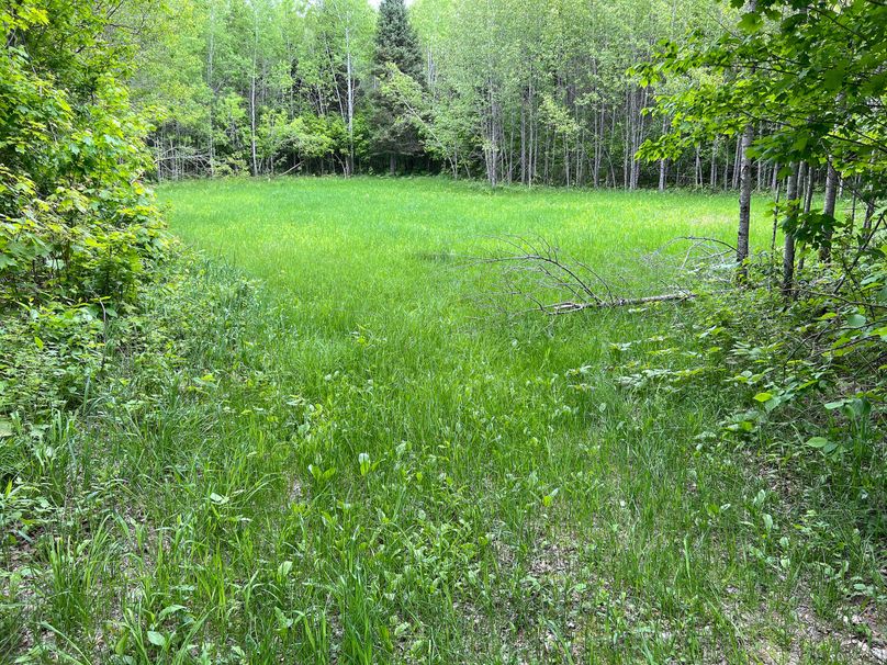 Marquette_MI_Ingebrigtsen_40-32