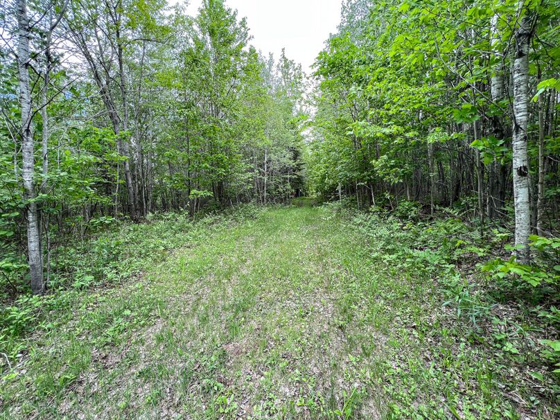 Marquette_MI_Ingebrigtsen_40-29