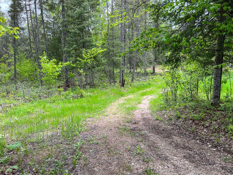 Marquette_MI_Ingebrigtsen_40-26