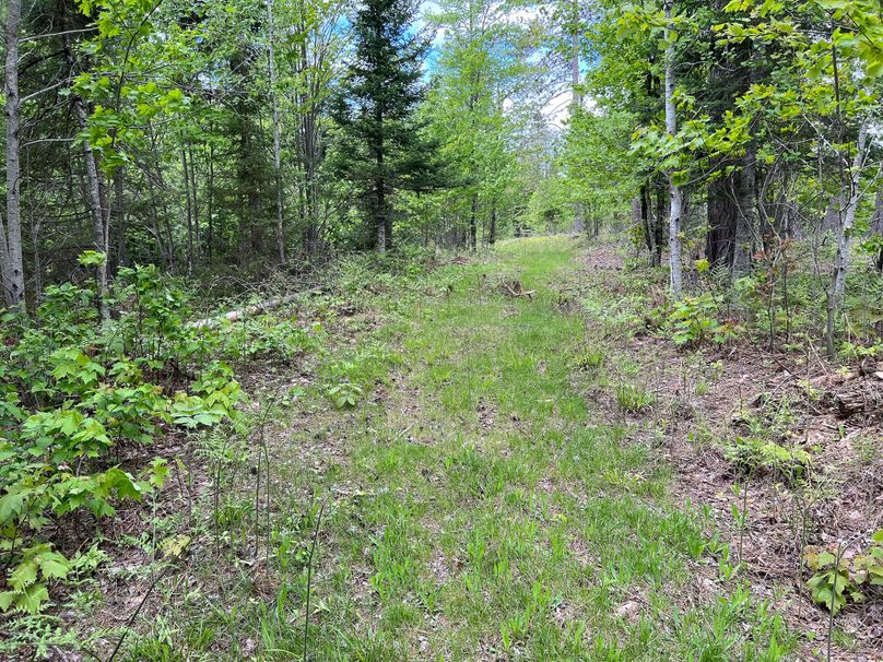 Marquette_MI_Ingebrigtsen_40-33