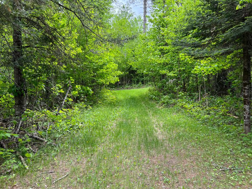 Marquette_MI_Ingebrigtsen_40-28