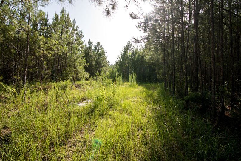 Jacobs53farm (11 of 22)