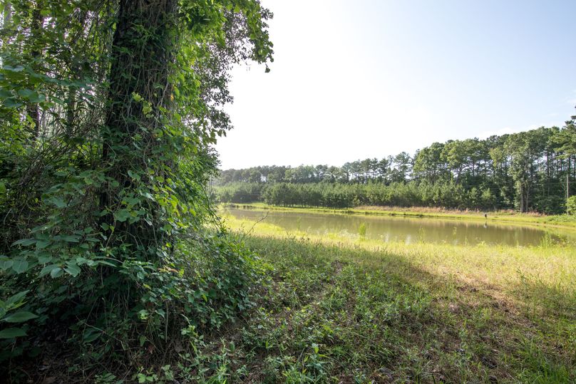 Jacobs53farm (7 of 22)