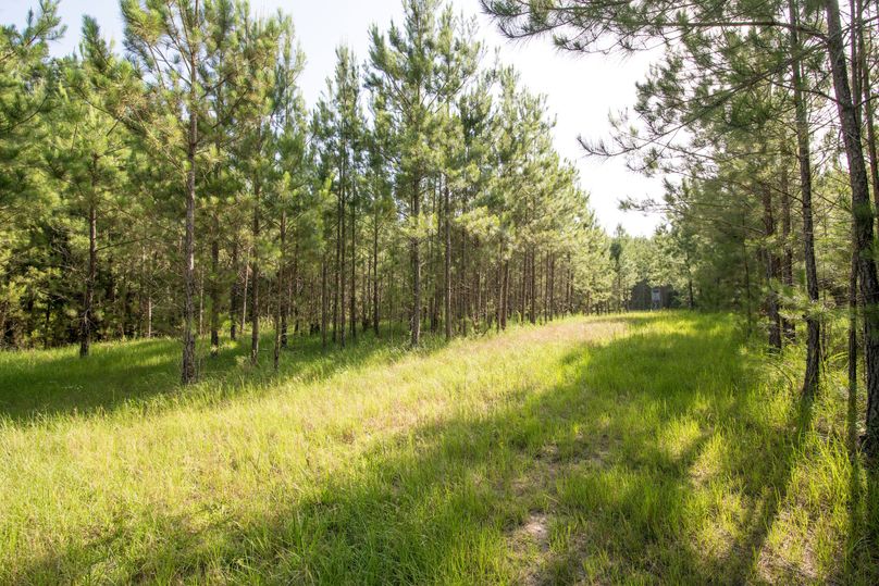 Jacobs53farm (12 of 22)