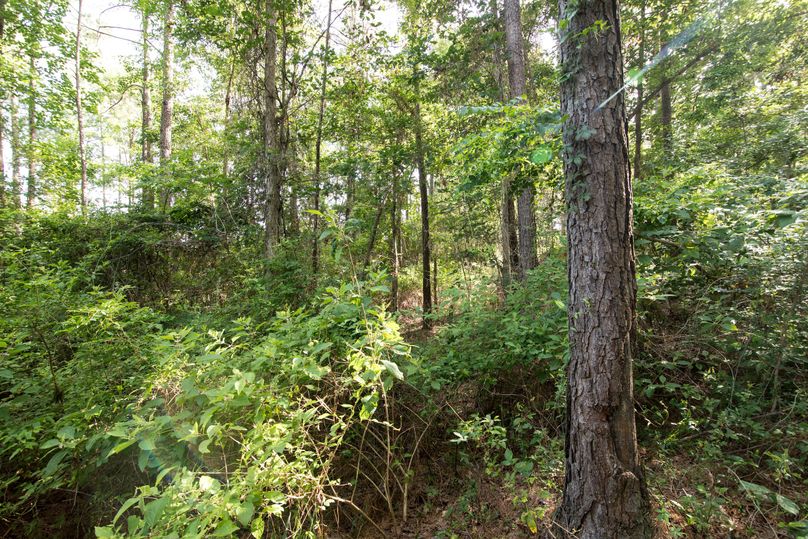 Jacobs53farm (4 of 22)