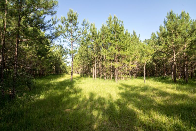 Jacobs53farm (14 of 22)