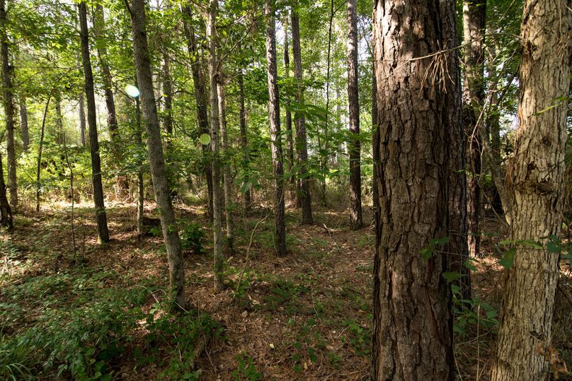 Jacobs53farm (5 of 22)