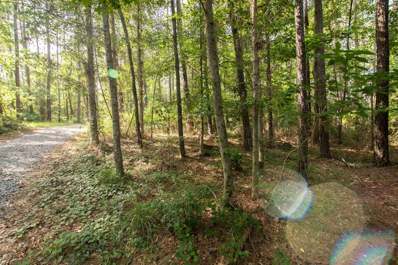 Jacobs53farm (6 of 22)