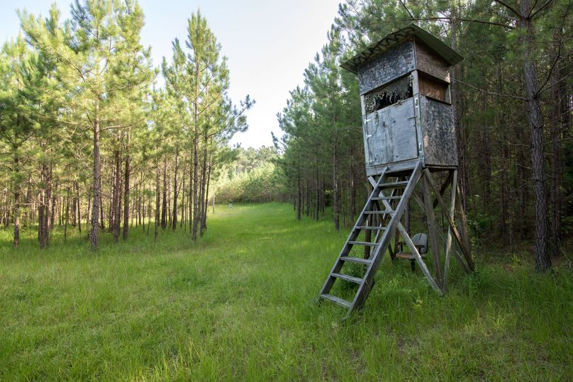 Jacobs53farm (13 of 22)