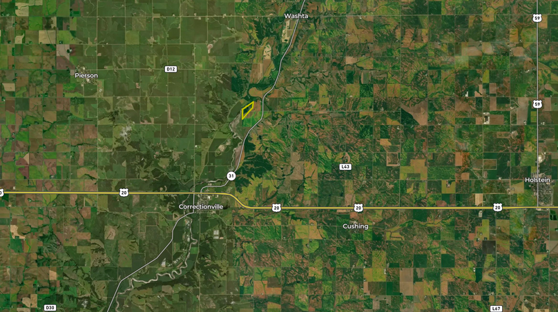 Screen Shot 2022-06-15 at 1.06.11 PM