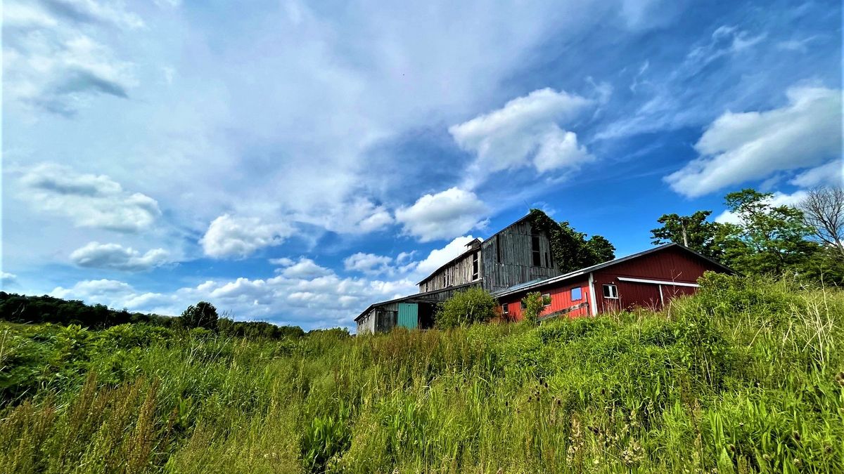 Vacant Farmland With Barn, Creek And Woods Near Jamestown, NY
