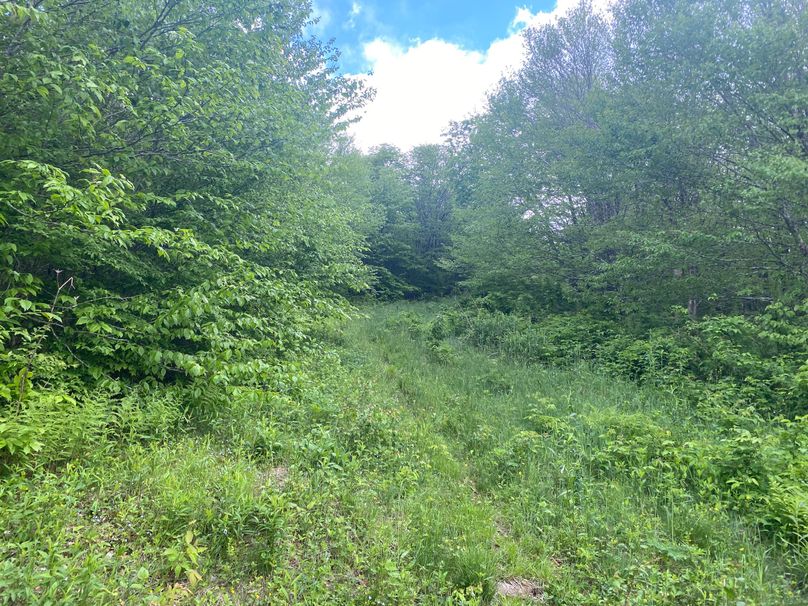 Graham Co 17 ThompsonRunyan-06