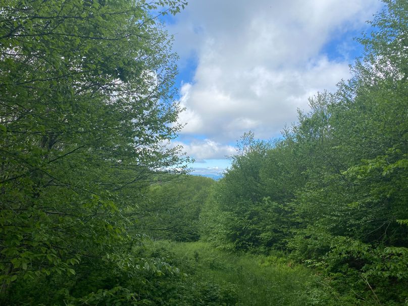 Graham Co 17 ThompsonRunyan-07