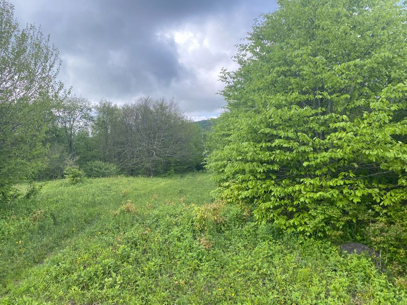 Graham Co 17 ThompsonRunyan-08