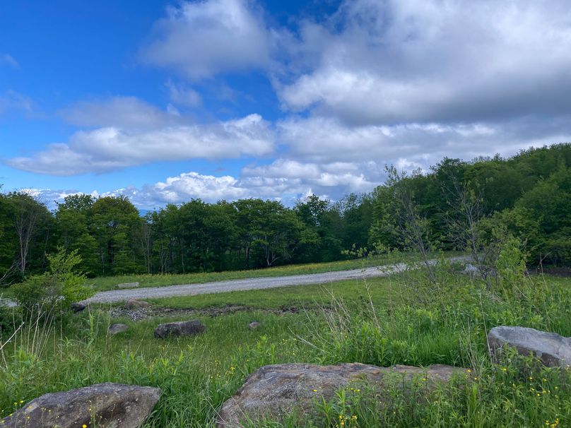 Graham Co 17 ThompsonRunyan-01