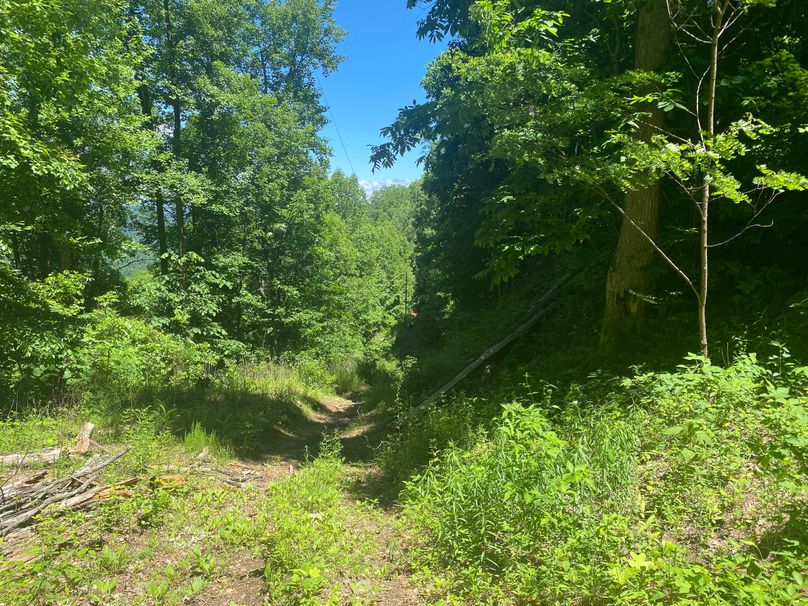 Graham Co 17 ThompsonRunyan-05