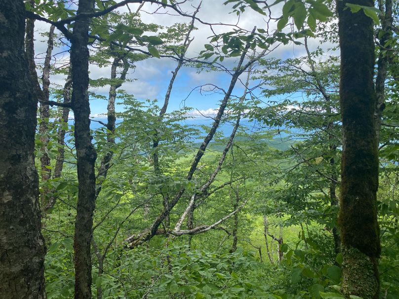 Graham Co 17 ThompsonRunyan-02