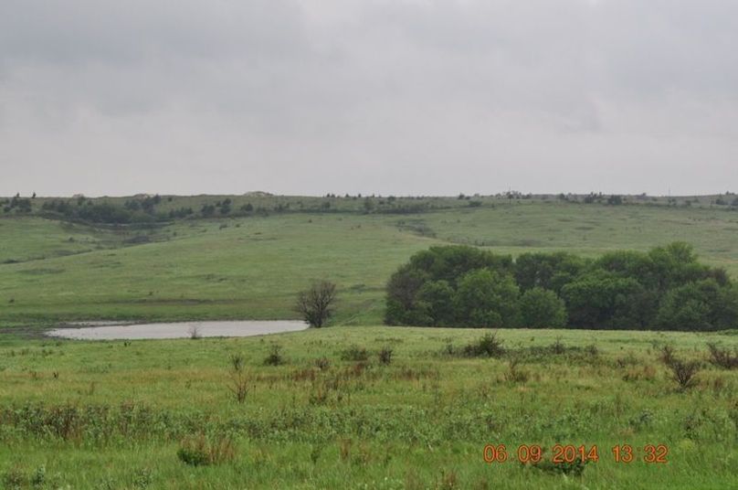 Dsc 1571 500x332@2x-2